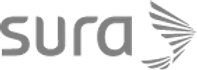 Logo Aliado 3